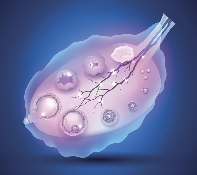 2026年广州三代试管婴儿医院实力盘点：中山一院、广医三院等5家公立医院深度解析，附高龄备孕成功指南